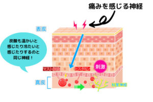 炭酸ヒリヒリ感じるメカニズム